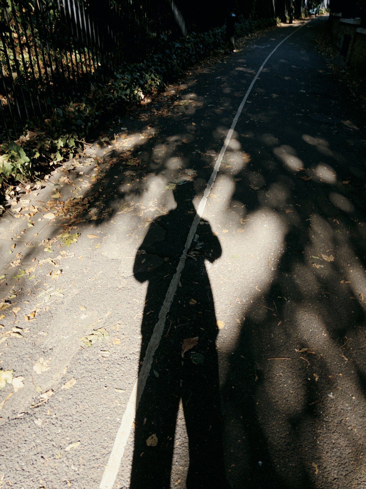 A long shadow on a path under trees, taken with sunday: softer, deeper and grainy.